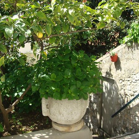 Guesthouse Manda 두브로브니크 외부 사진