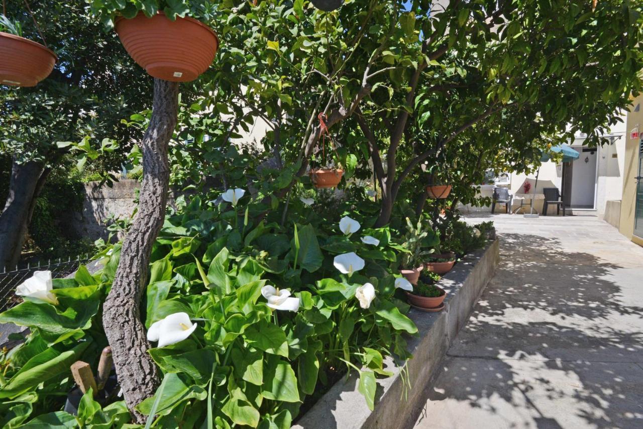 Guesthouse Manda 두브로브니크 외부 사진