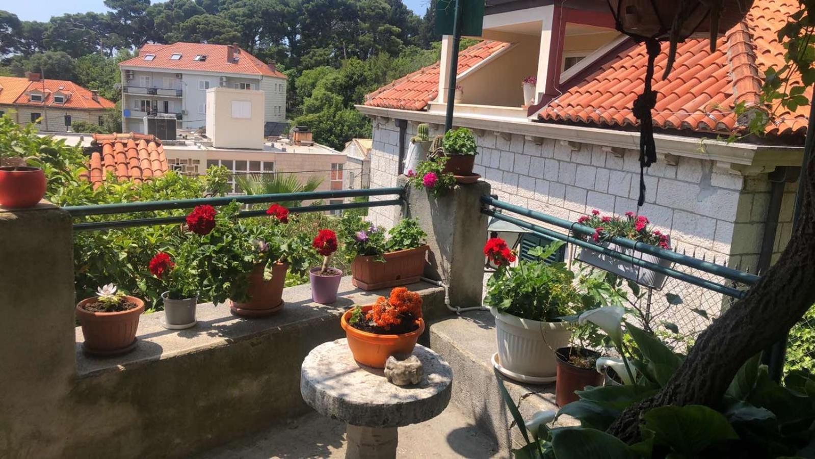 Guesthouse Manda 두브로브니크 외부 사진