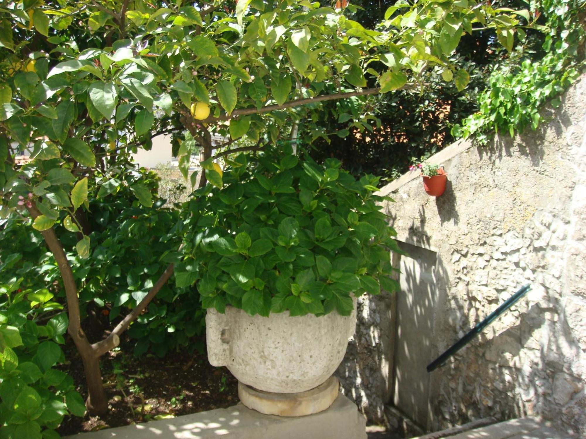 Guesthouse Manda 두브로브니크 외부 사진